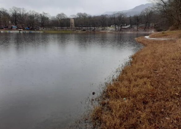 پایش زیستگاههای وزغ تالشی در حوزه دریای خزر آغاز شد