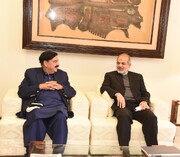 دیدار وزیران کشور ایران و پاکستان در اسلام‌آباد آغاز شد
