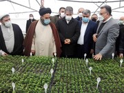  بسته حمایتی ۲۰ هزار میلیارد ریالی دولت نویدی بر رونق کشاورزی آذربایجان غربی 