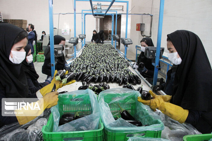 استاندار یزد: پنج هزار میلیارد تومان پروژه دهه فجر در استان افتتاح شد