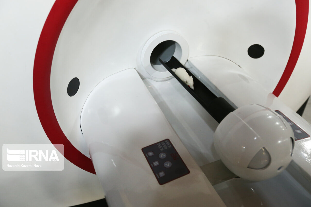 از ذخیرهسازی میوه شب عید تا ایجاد اشتغال توسط شرکتهای دانشبنیان