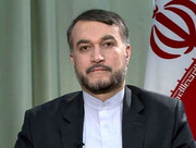 ایران الفاظ کو ضمانت کے طور پر قبول نہیں کرے گا: امیرعبداللہیان