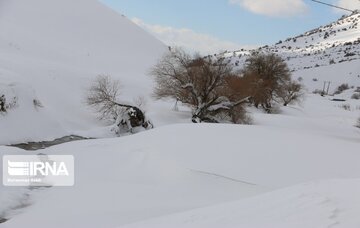 Iran : l'hiver à Yasuj