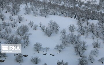 Iran : l'hiver à Yasuj