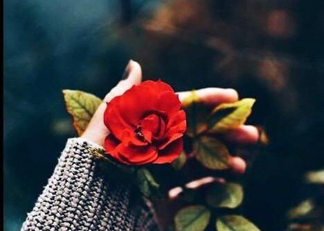 آقای محترم، همسر من میشوید؟!