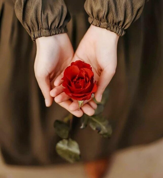 آقای محترم، همسر من میشوید؟!