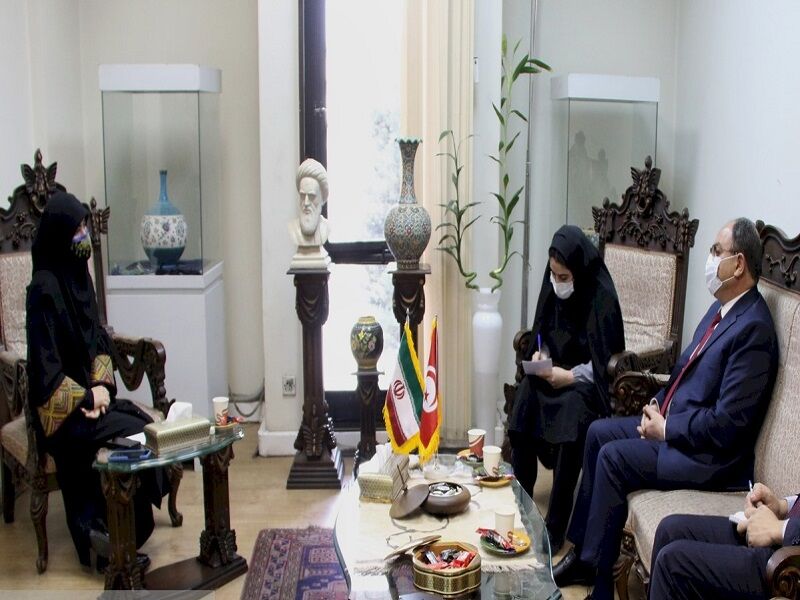 همکاری در زمینه صنایع‌دستی به تعمیق روابط ایران و تونس منجر می‌شود