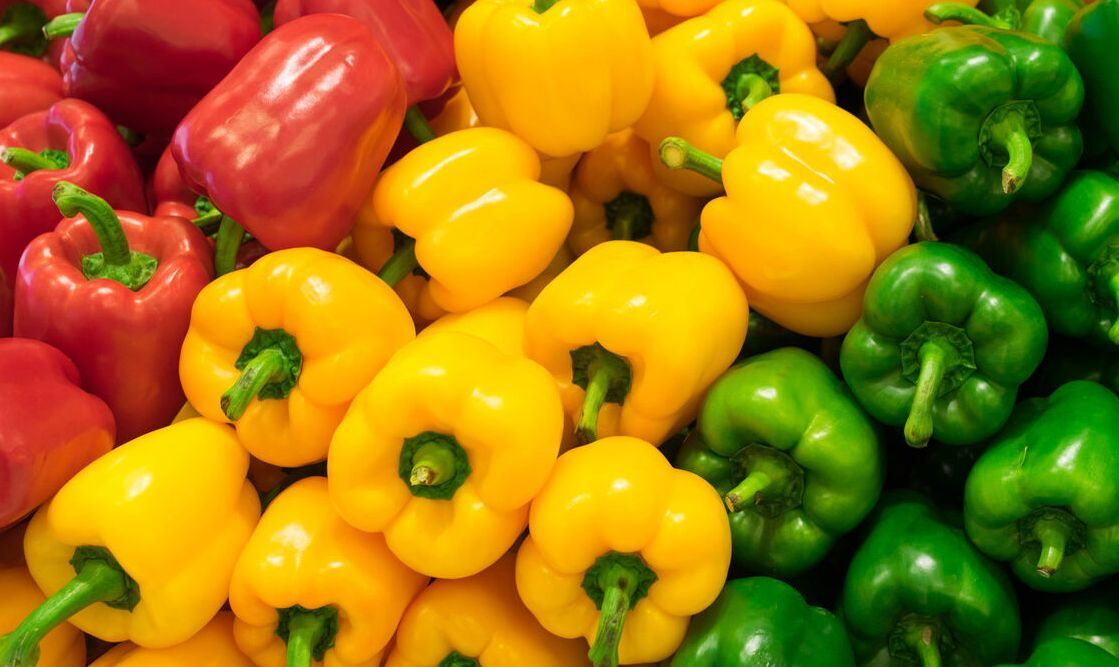 از توسعه قطار شهری تا توانمندسازی ۲ هزار محله در سراسر کشور