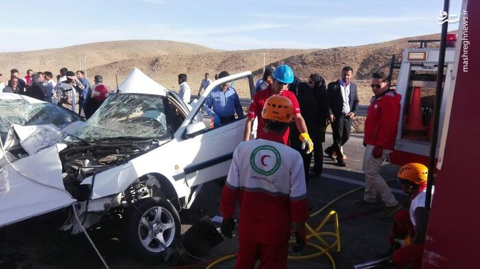 آیا گادریل ها به تاریخ می پیوندند؟/ درخواست پلیس برای حذف تدریجی گادریلها