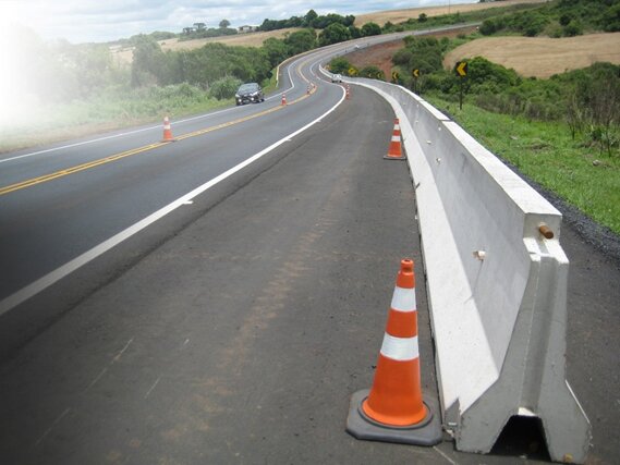 آیا گادریل ها به تاریخ می پیوندند؟/ درخواست پلیس برای حذف تدریجی گادریلها