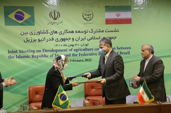 تعرفه گمرکی کالاهای تجاری ایران و برزیل بازنگری میشود