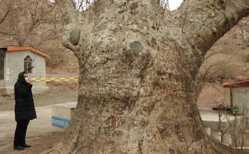 چهار اثر طبیعی استان مرکزی ثبت ملی شد چهار اثر طبیعی استان مرکزی ثبت ملی شد