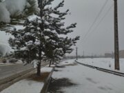 جلوه‌هایی از بارش برف در آخرین ماه فصل زمستان در بوکان