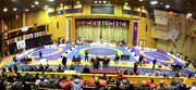 Iranian wrestlers grab 7 colorful medals in Bulgaria