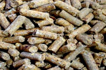 حدود ۲۳ تن کنجاله سویای غیرمجاز در میاندرود کشف شد