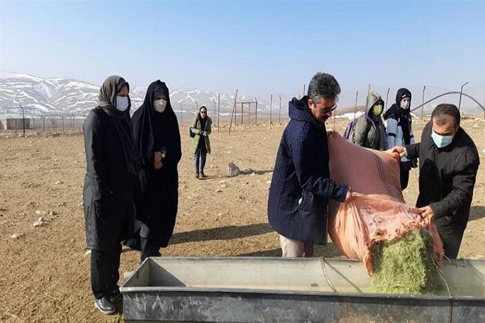 جشنواره بازگشت لکلکها در مریوان و چند خبر کوتاه از محیط زیست کردستان