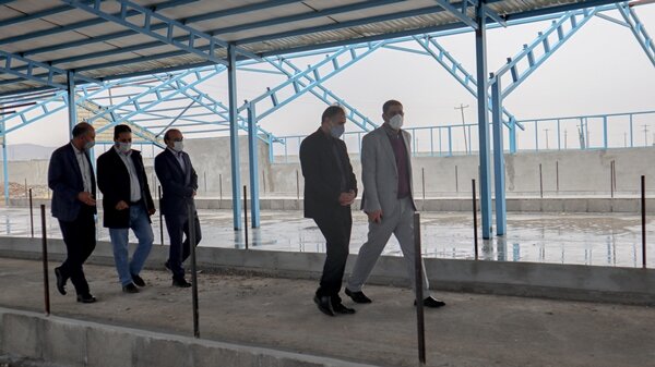 سازمان تامین اجتماعی از کارآفرینان کرمانشاه حمایت میکند