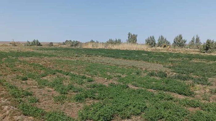 درگاه ورودی ریگ یلان فهرج بزودی ساماندهی میشود