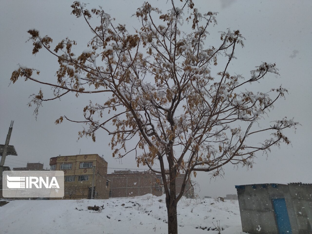 ۲ روستای مهدیشهر رکورددار بیشترین بارش برف در استان سمنان شدند