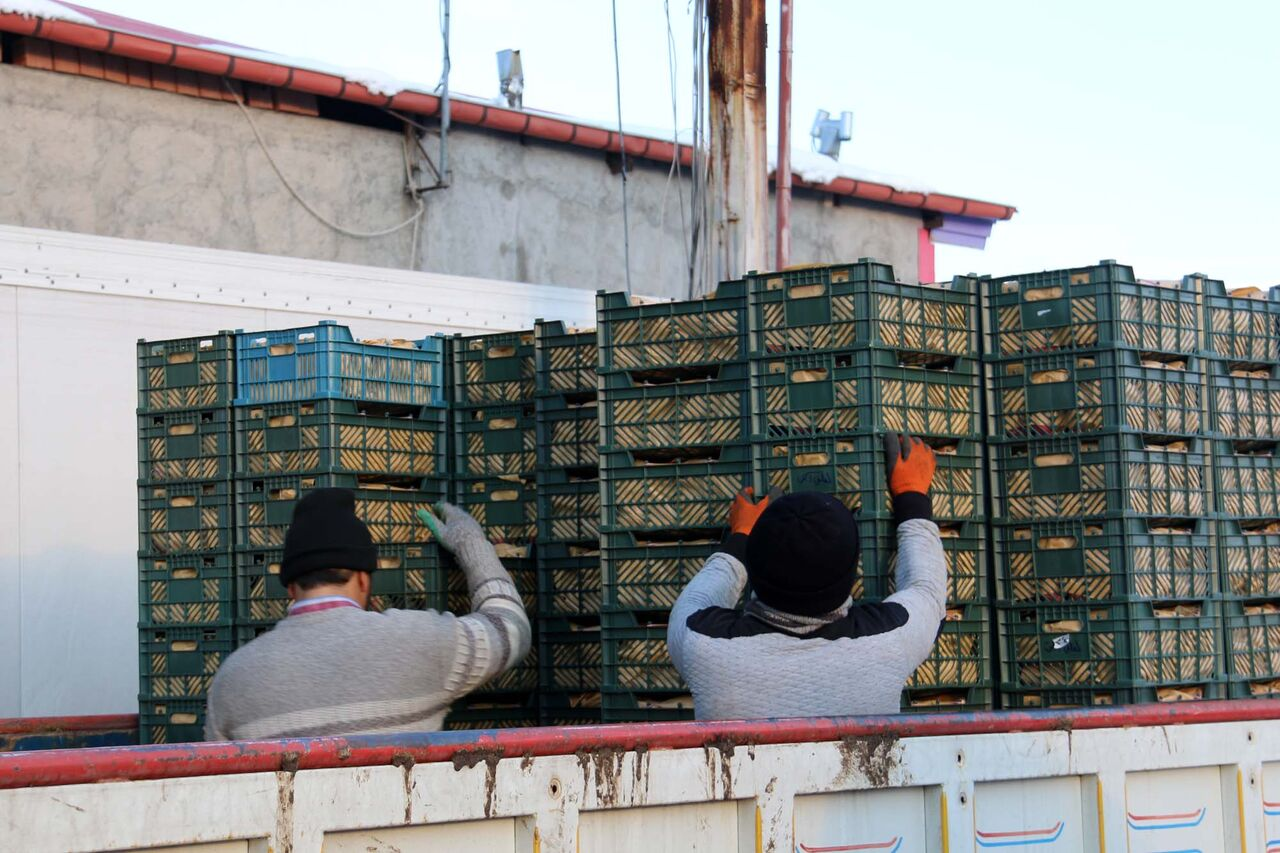 از سقوط جنگنده اف ۵ ارتش تا فعالیت شرکتهای دانش بنیان در کشور