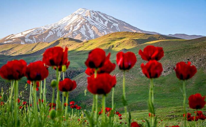 دشت لار همچون نگینی در همسایگی پایتخت