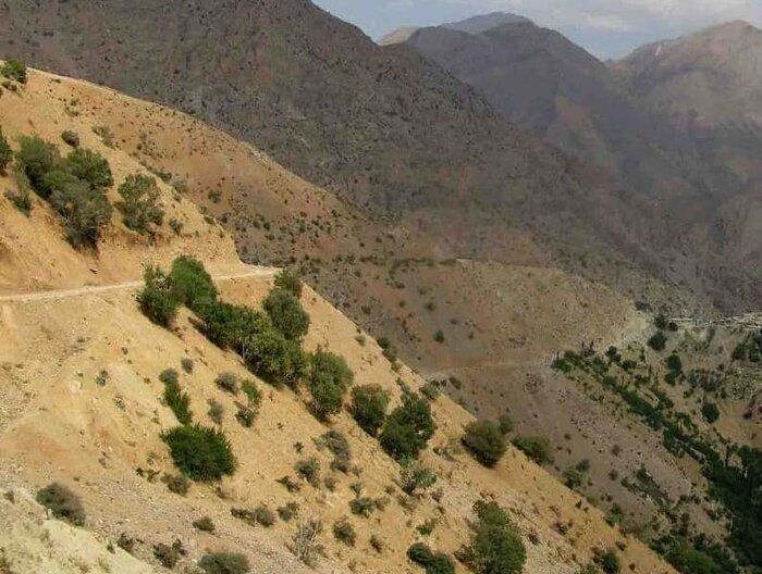 ماجرای احداث یک جاده از دل جنگلهای زاگرس در فریدونشهر چیست؟