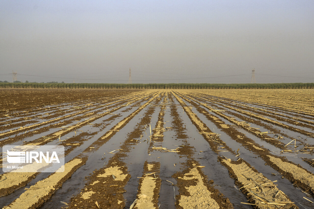 از دریافت تسهیلات اشتغالزایی بانوان روستایی تا توسعه صادرات با کشورهای همسایه