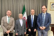 Serbian Uni Prof ready to visit Iran to sign scientific agreements