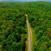 Les forêts hyrcaniennes et l'importance de les conserver en faveur de l'environnement mondial