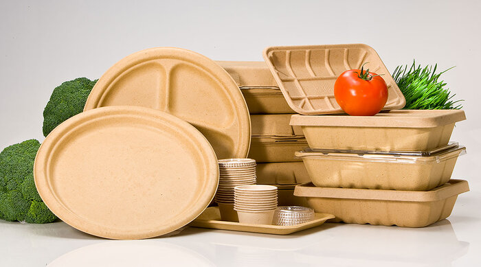 ظروف یکبار مصرف، تهدیدی جدی برای محیط زیست