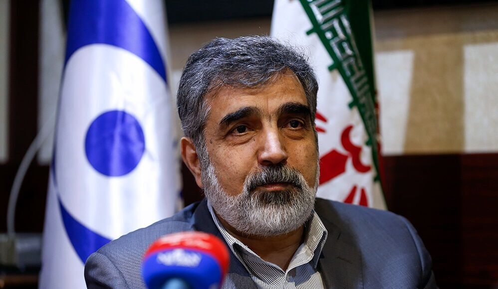 جوہری مذاکرات کے موقع پر ایرانی ایٹمی تنظیم کے ترجمان کا دورہ ویانا