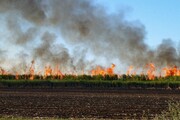 اعتراض اهالی برخی روستاهای شهرستان کارون به آتش‌سوزی مزارع نیشکر