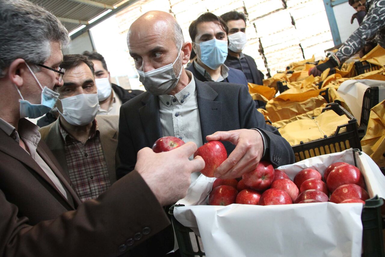 رییس سازمان جهاد کشاورزی: ۶۰۰ تن میوه شب عید مردم لرستان ذخیره‌سازی شد