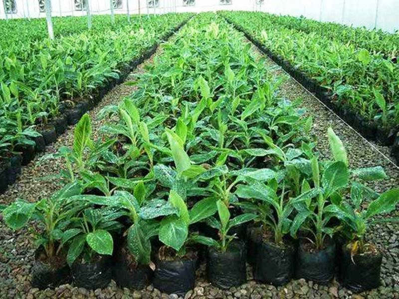 از کاهش قیمت ۴۵۰۰ قلم کالا تا سرمایهگذاری در معادن کشور