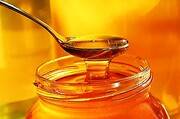 صادرات عسل از استان مرکزی ۹ برابر افزایش یافت
