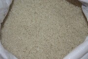سیستم ارزیابی ویژگی‌های ظاهری و استاندارد برنج در گیلان رونمایی شد