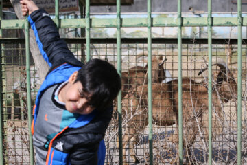 Loisirs en Iran en temps de Covid avec les parcs animaliers