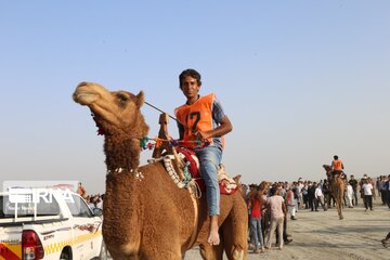 Big camel riding competitions in southern Iran