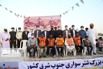 Big camel riding competitions in southern Iran