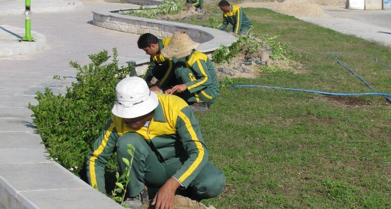 فضای سبز تبریز ۱۲۲ هکتار توسعه یافت فضای سبز تبریز ۱۲۲ هکتار توسعه یافت