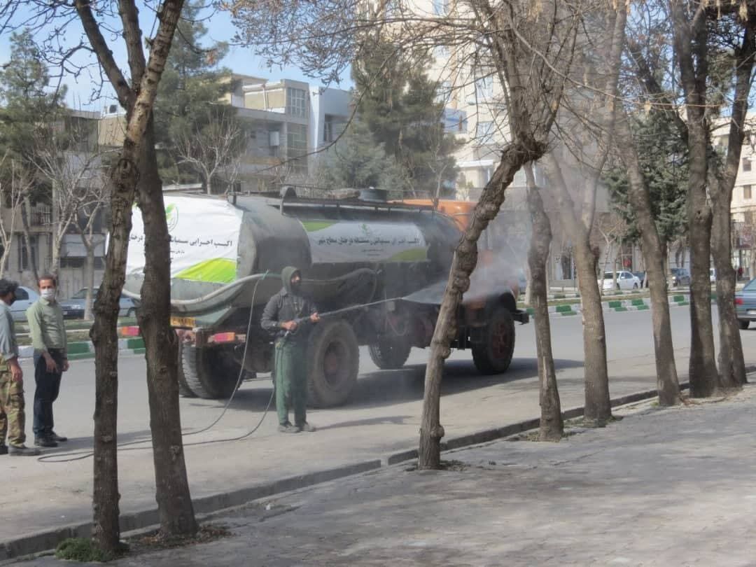 عملیات سم‌پاشی درختان با روغن «وُلک» برای نخستین بار در کرمانشاه انجام شد