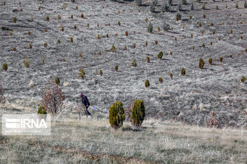 ظرفیت دانشگاهی سمنان به کمک حفاظت از منابع‌طبیعی می‌آید