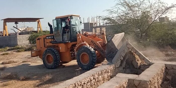 آراستگی رودخانه کرج به سبزه برای همه