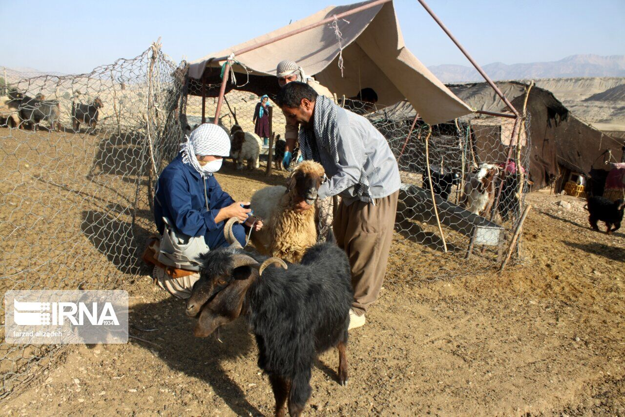 از تامین امنیت صادرات برای محصولات کشاورزی تا تخصیص تسهیلات برای گردشگری