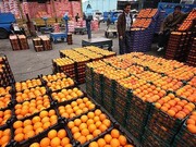 ۳۲۰ تن از میوه شب عید در کردستان به فروش رفت