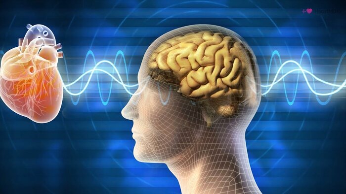 دل شکسته با بدن چه میکند؟