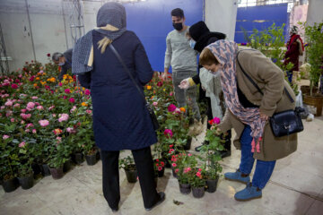 نمایشگاه گل و گیاه در کرمانشاه