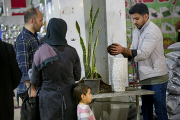 نمایشگاه گل و گیاه در کرمانشاه