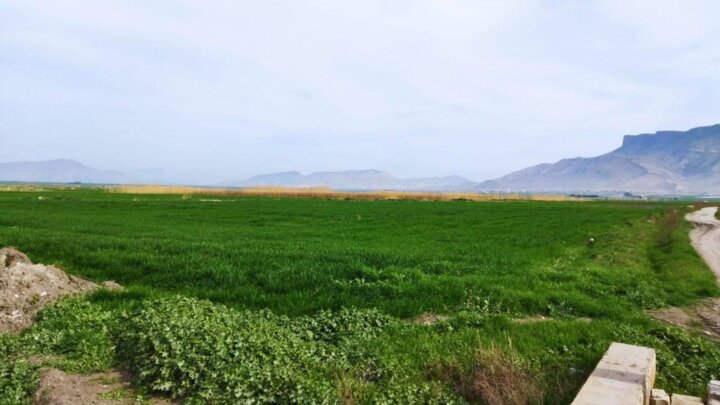 موافقت دولت برای بازگشت اهالی خسروی، نفتشهر، سومار و روستاهای نوار مرز غرب کرمانشاه