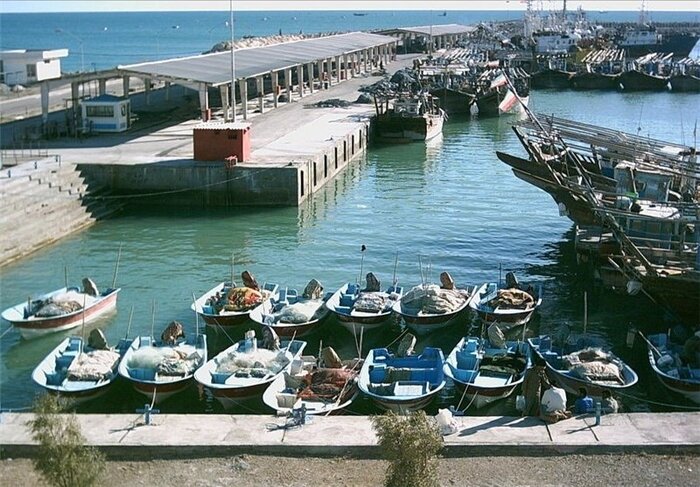 اسکلههای ۲ منظوره بوشهر؛ مستعد حوادث